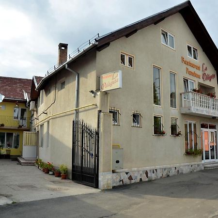 Pensiunea La Palaguta Baia Mare Exteriör bild