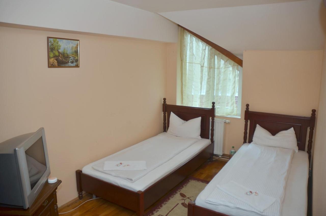 Pensiunea La Palaguta Baia Mare Exteriör bild