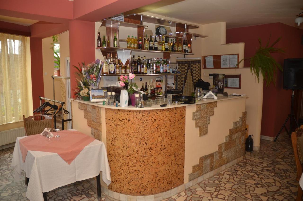 Pensiunea La Palaguta Baia Mare Exteriör bild