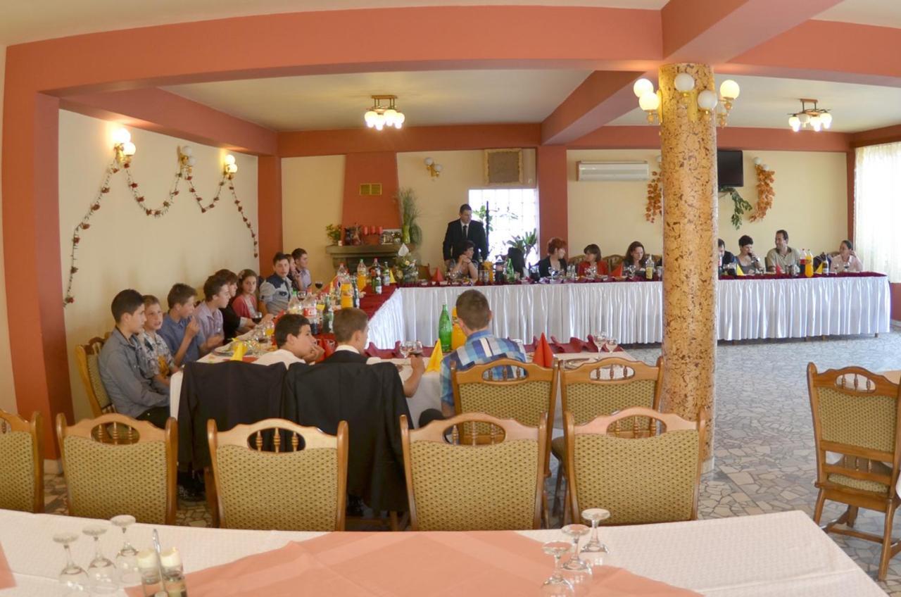 Pensiunea La Palaguta Baia Mare Exteriör bild