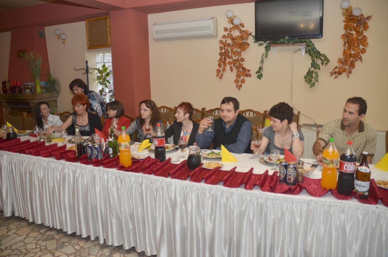 Pensiunea La Palaguta Baia Mare Exteriör bild