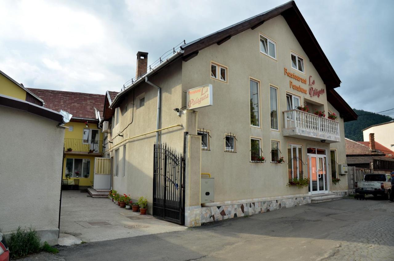 Pensiunea La Palaguta Baia Mare Exteriör bild