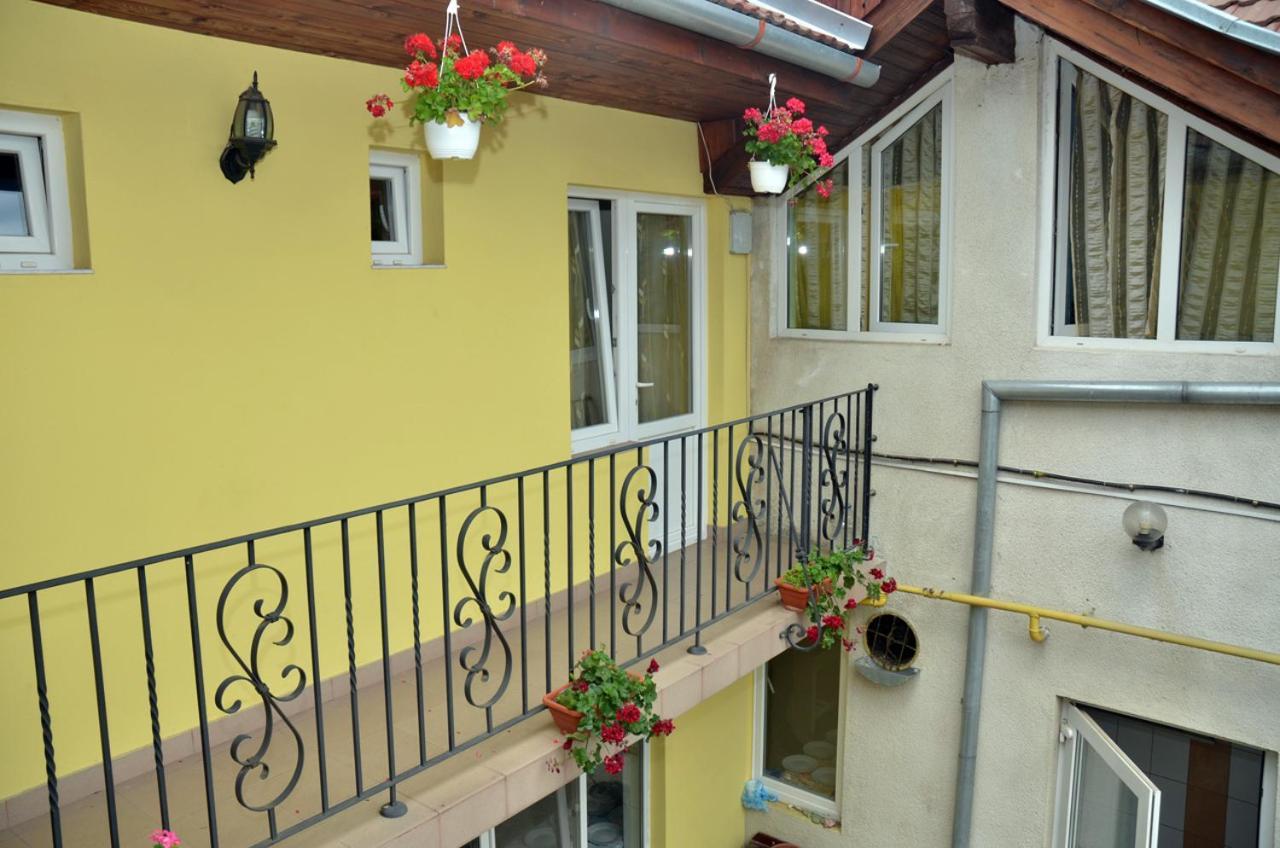 Pensiunea La Palaguta Baia Mare Exteriör bild