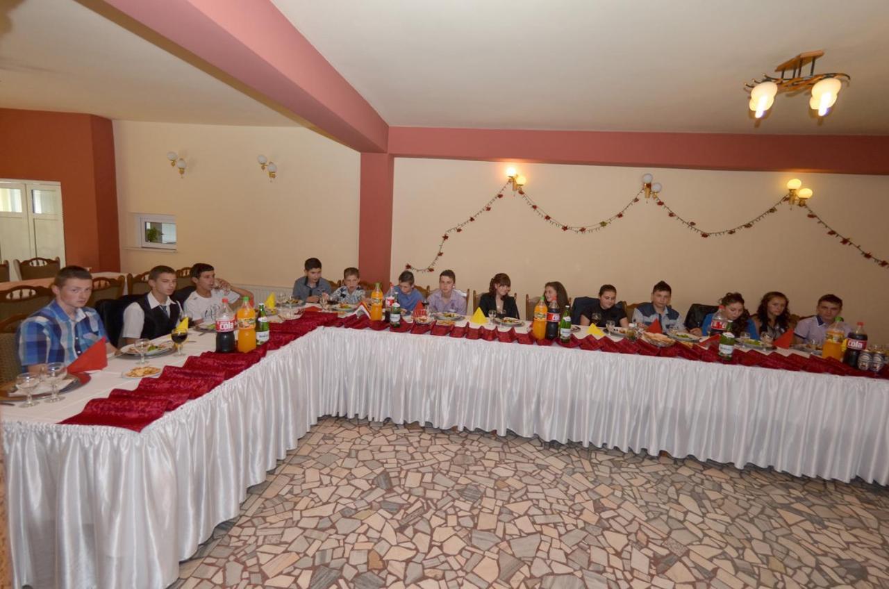 Pensiunea La Palaguta Baia Mare Exteriör bild